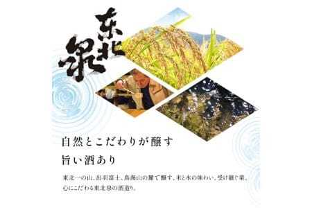 東北泉 特別本醸造・純米酒 吹浦の風 720ml×2本セット 高橋酒造店 山形県 遊佐町 庄内 日本酒 お酒 清酒 詰合せ セット品 飲み比べ [988]