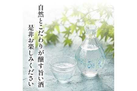 東北泉 特別本醸造・純米酒 吹浦の風 720ml×2本セット 高橋酒造店 山形県 遊佐町 庄内 日本酒 お酒 清酒 詰合せ セット品 飲み比べ [988]
