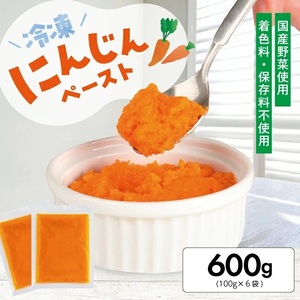 1176NN600G　冷凍にんじんペースト600g(100g×6袋)
