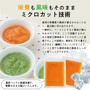 1176NN800G　冷凍にんじんペースト800g(100g×8袋)