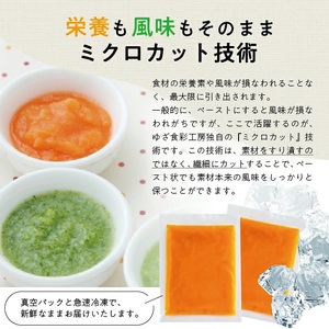 1176NN2000G　冷凍にんじんペースト2.0kg(500g×4袋)