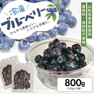 1177BB800G 冷凍ブルーベリー800g(100g×8袋)