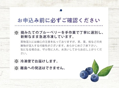 1177BB1500G　冷凍ブルーベリー1.5kg(500g×3袋)