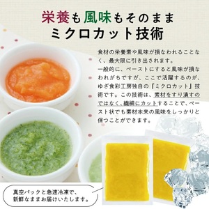 1180SA600G　冷凍さつまいもペースト600g(100g×6袋)