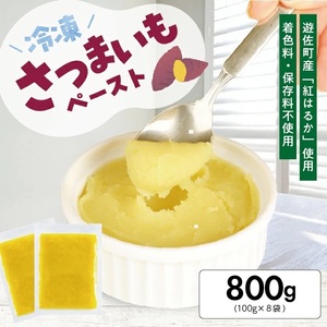 1180SA800G 冷凍さつまいもペースト800g(100g×8袋)