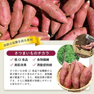 1180SA1000G 冷凍さつまいもペースト1.0kg(500g×2袋)