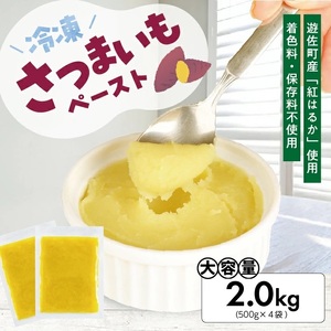 1180SA2000G 冷凍さつまいもペースト2.0kg(500g×4袋)