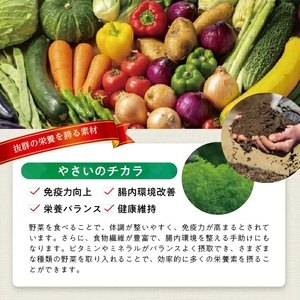 1185AL1200G 冷凍野菜ペーストアラカルト1.2kg(100g6種×各2袋)