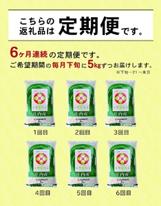 1317T03　【定期便】庄内産雪若丸5kg×6ヶ月連続(3月～8月)