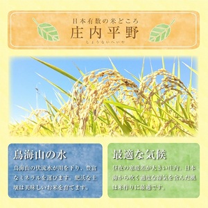 1319T02　【定期便】はえぬき5kg×12ヶ月連続(2月～1月)