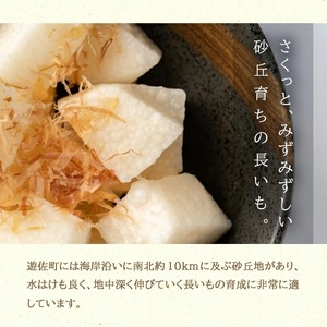 1323 長いも 2.5kg(2~3本)山形県遊佐町産