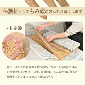 1323 長いも 2.5kg(2~3本)山形県遊佐町産