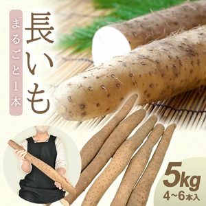 1324 長いも 5.0kg(4~6本)山形県遊佐町産