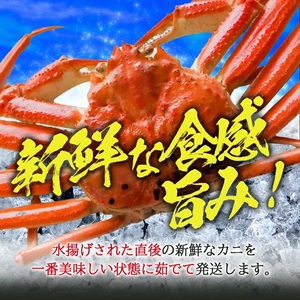 春のボイル 本ズワイガニ 1匹 350g程度 遊佐沖 2026年1月上旬～3月下旬頃お届け 冷蔵便 ※着日指定・離島（沖縄県を含む）発送不可 1人前 山形県 遊佐町 庄内地方 日本海 カニ 蟹 かに 海産物 シーフード 海鮮 新鮮 まるごと ボイル 焼き 期間限定 ゆで 茹で [1325]