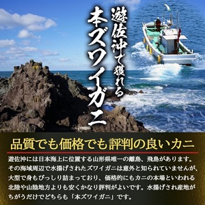 春のボイル 本ズワイガニ 1匹 350g程度 遊佐沖 2026年1月上旬～3月下旬頃お届け 冷蔵便 ※着日指定・離島（沖縄県を含む）発送不可 1人前 山形県 遊佐町 庄内地方 日本海 カニ 蟹 かに 海産物 シーフード 海鮮 新鮮 まるごと ボイル 焼き 期間限定 ゆで 茹で [1325]