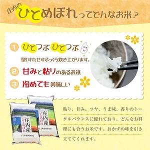 庄内産ひとめぼれ5kg（令和7年産米）9月上旬 [1370R07M09a]　
