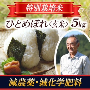 1404R07　特別栽培米 ひとめぼれ 玄米 5kg 山形県遊佐産 鳥海山の恵（令和7年産米）