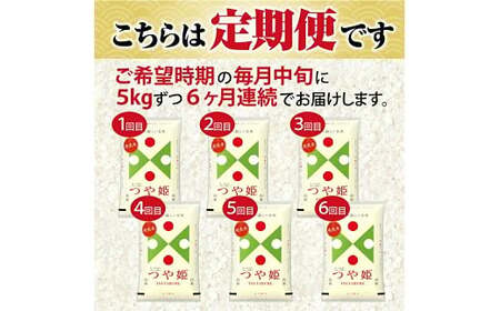 【定期便】無洗米つや姫 5kg×6ヶ月連続 (4月～9月) [1385T04]　