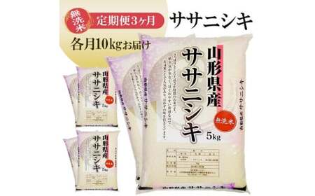 1387T04　【定期便】無洗米ササニシキ10kg×3ヶ月連続（4月～6月）