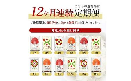 【定期便】無洗米4銘柄定期便 5kg×12ヶ月連続 計60kg(5月～4月)はえぬき つや姫 雪若丸 ひとめぼれ [1395T05]