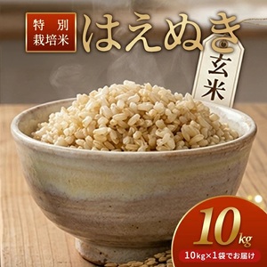 特別栽培米 はえぬき 10kg 玄米 令和7年産 山形県産 東北 山形県 遊佐町 庄内地方 米 お米 庄内米 ご飯 ごはん 産地直送 農家直送  [1418R07]