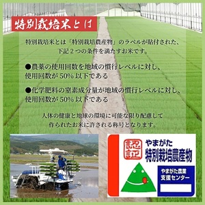 特別栽培米 はえぬき 10kg 玄米 令和7年産 山形県産 東北 山形県 遊佐町 庄内地方 米 お米 庄内米 ご飯 ごはん 産地直送 農家直送  [1418R07]