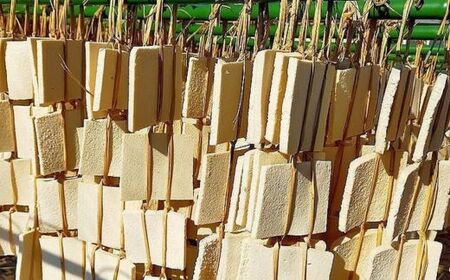 No.2750 福島市名産・立子山の凍み豆腐４連　箱入り