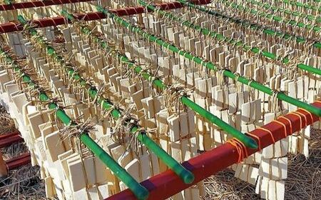 No.2750 福島市名産・立子山の凍み豆腐４連　箱入り