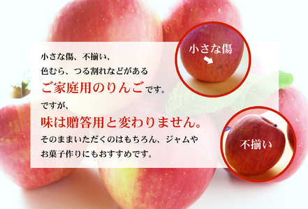 No.2773 サンふじりんご 訳あり ご家庭用 約4.5kg【2025年度発送】