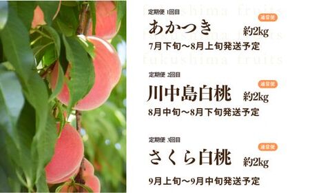No.2791中野/佐藤果樹園 福島の桃３種定期便 各約2kg【2026年発送】