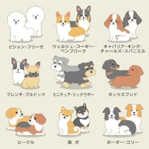 No.2818いぬつむ ナインディーnine-D