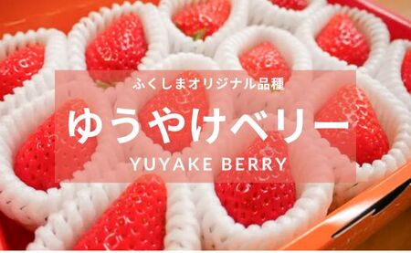 No.2849福島市産 いちご　ゆうやけベリー1箱12粒（400g）【2025年１月より発送】