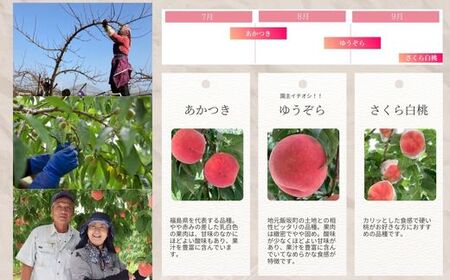 No.2917 ヤマ考紺野果樹園 福島の桃だけ３種定期便 各約2kg【2026年発送】