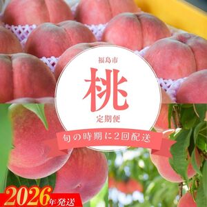 No.2918 ヤマ考紺野果樹園 福島の桃だけ２種定期便各約2kg【2026年発送】