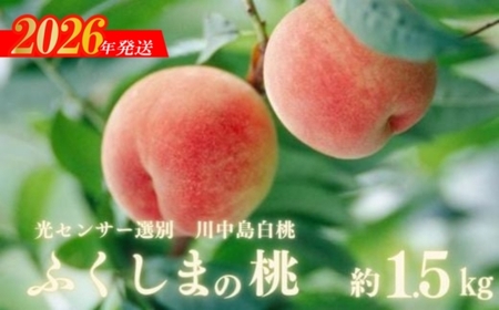 No.2920ふくしまの桃「光センサー選別川中島白桃」約1.5kg【2026年発送】