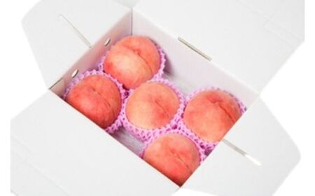 No.2997 福島県福島市産 旬のもも(白桃・品種おまかせ) 約1kg(3～6玉)【2026年発送】