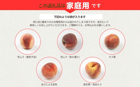 No.3007 桃　品種お任せ　家庭用　約1.7kg【2026年発送　先行予約】