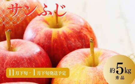 No.2966 ししどりんご園 りんご「サンふじ」約5kg 秀品【2025年度発送】