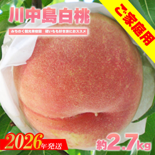 No.2986もも「川中島白桃」ご家庭用　約2.7kg【2026年発送　先行予約】