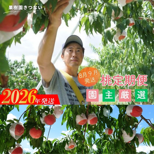 No.3235 果樹園きつない８月９月品種お任せ定期便（２回）