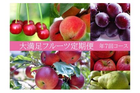 【先行予約】No.0047 大満足フルーツ定期便