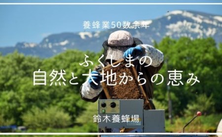 No.0081 国産純粋リンゴはちみつ300ｇ