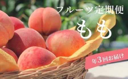 【先行予約】No.0288 【全3回】フルーツ定期便 もも(あかつき)もも(川中島白桃 )もも(黄貴妃&ゆうぞら) 各5kg