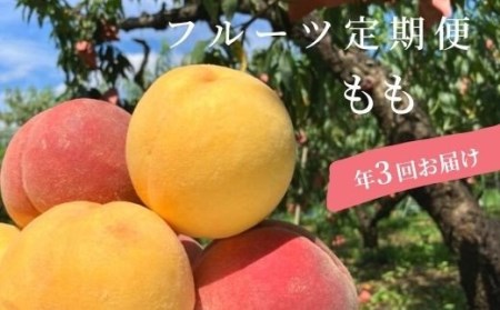 No.0291 先行予約フルーツ定期便【全3回】 もも(あかつき)もも(黄貴妃&ゆうぞら)もも(さくら白桃)各5kg