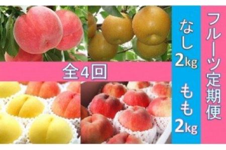 No.0295 先行予約【全4回】フルーツ定期便 もも各2kg×3回 なし2kg×1回