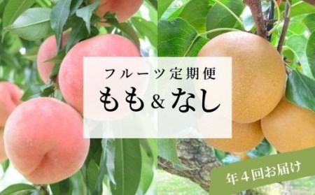 No.0296 先行予約【全4回】フルーツ定期便 もも各3kg×3回 なし3kg×1回