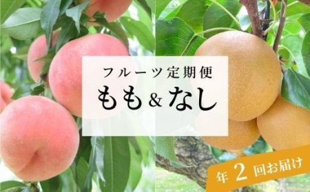 No.0309 先行予約【全2回】フルーツ定期便 もも・なし各5kg