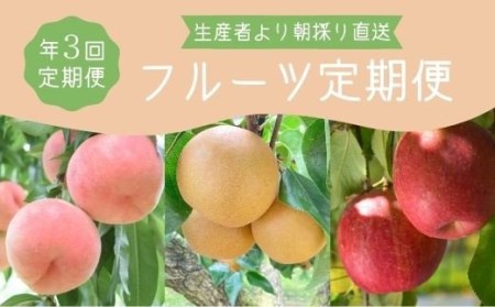 No.0312 先行予約【全3回】フルーツ定期便 もも・なし・りんご各5kg