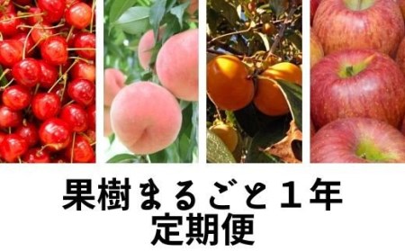 【先行予約】No.0537 果樹まるごと一年おまかせセット
