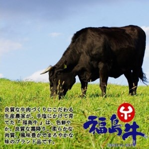 No.0817　最高級　黒毛和牛　サーロインステーキ　２００ｇ　銘柄福島牛　A5～A4等級　